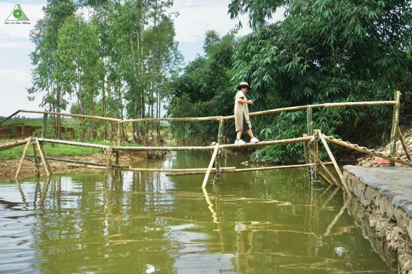 cau khi tai truc an vien village 2